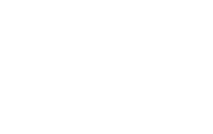 Raven_Logo-300x190